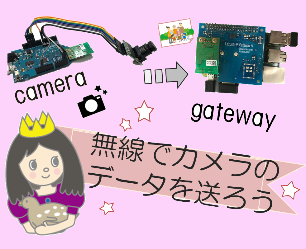 らずらいと姫の挑戦日記 無線でカメラのデータを送る Lazurite