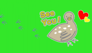 Seeyou