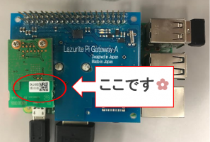 らずらいと姫の挑戦日記 無線でカメラのデータを送る Lazurite