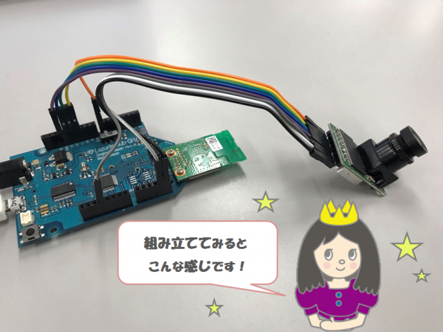 完成系✿姫